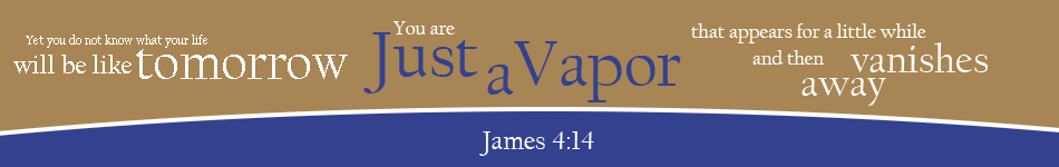  Welcome to justavapor.com